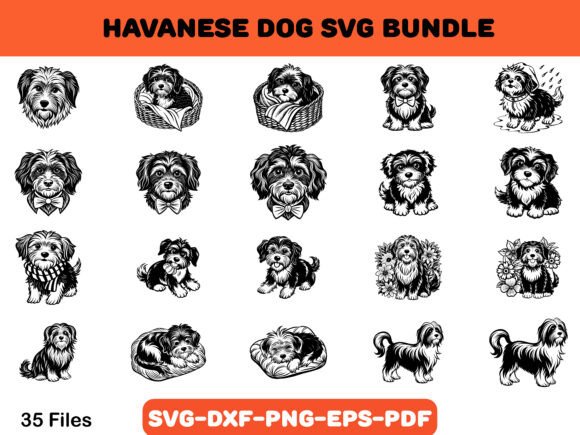 Havanese Dog Svg Bundle