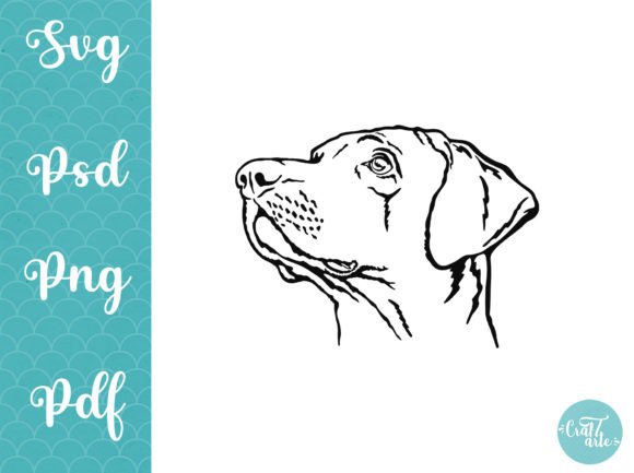 Vizsla Dog SVG Vector Svg